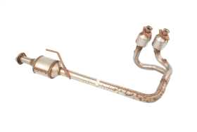 Exhaust Pipe/Catalytic Converter Assembly